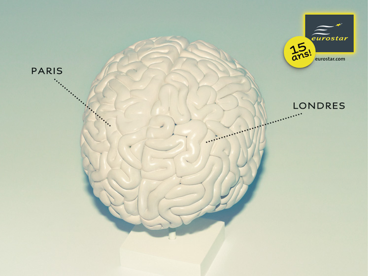 eurostar-4x3-visible-cerveau