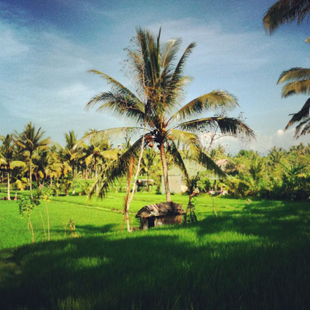Bali instagram pictures by www.mr-cup.com