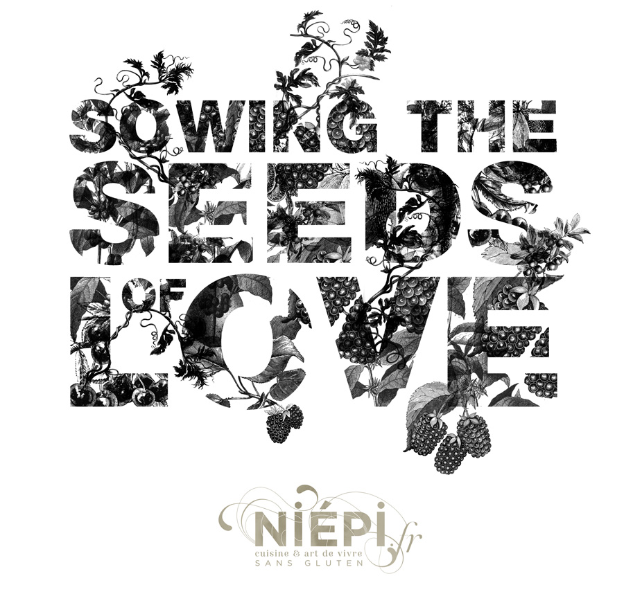 Niepi Gluten free magazine . cooking and way of life . www.niepi.fr