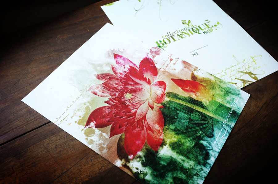 botanique-posters-mrcup-08