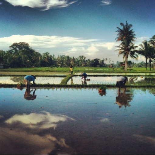 Goodbye Bali / 1 year ago / Next chapter